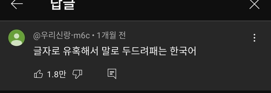 외국인이 느끼는 한국어.png_1.jpg