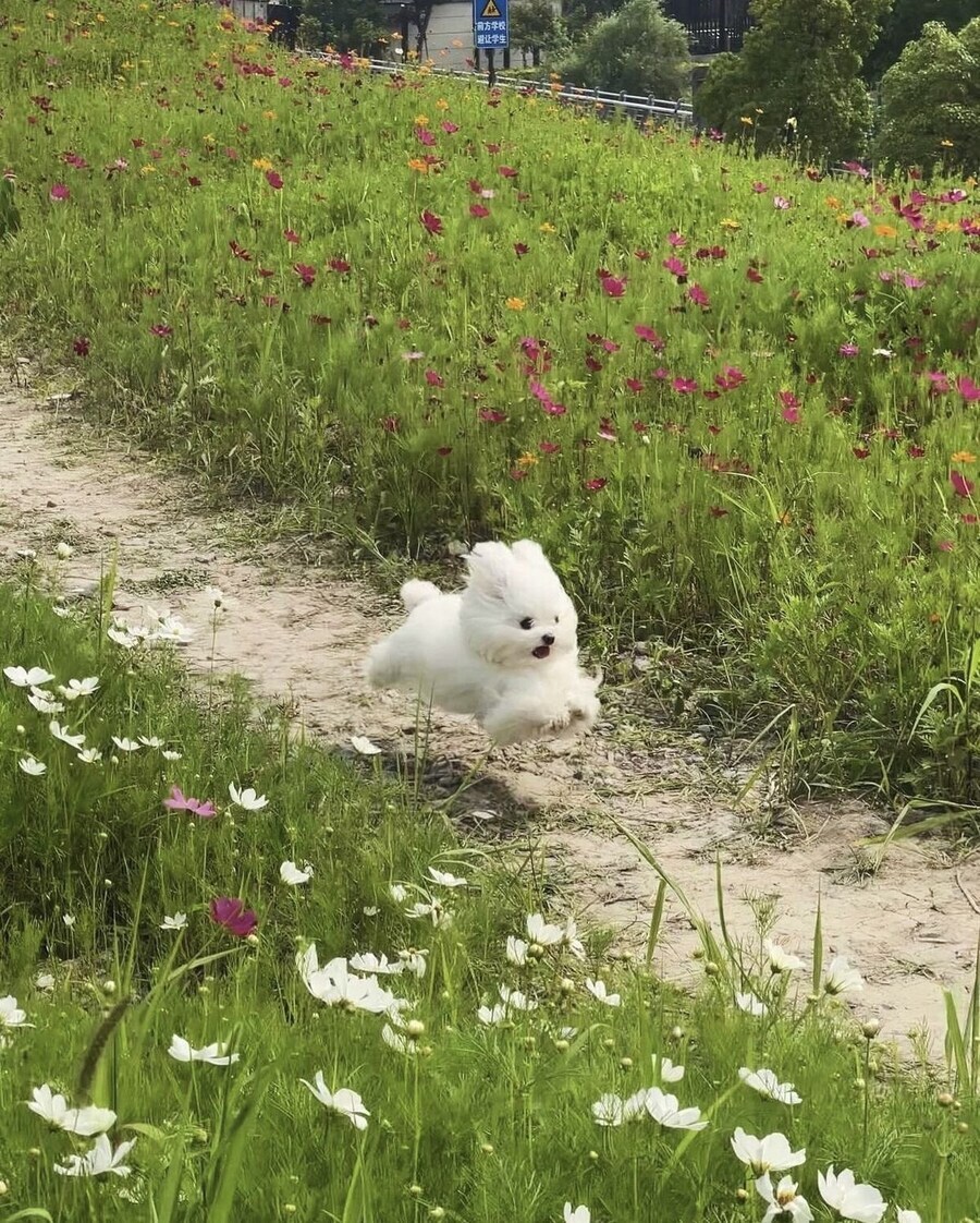 신나서 뛰어다니는 토끼.jpg_1.jpg