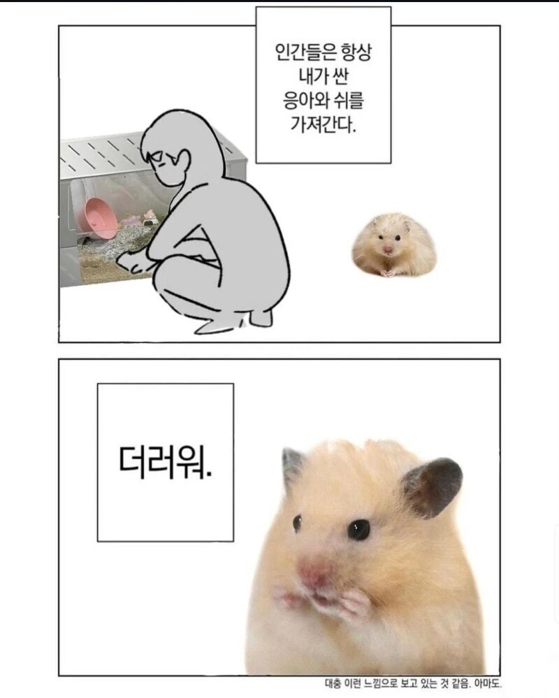자신의 을 치워주는 주인을 본 햄스터의 감상.jpg_1.jpg