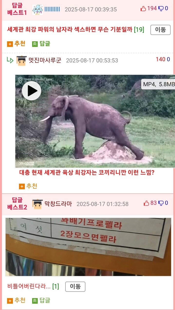 타츠마키편 후일담 스토리.jpg_2.jpg