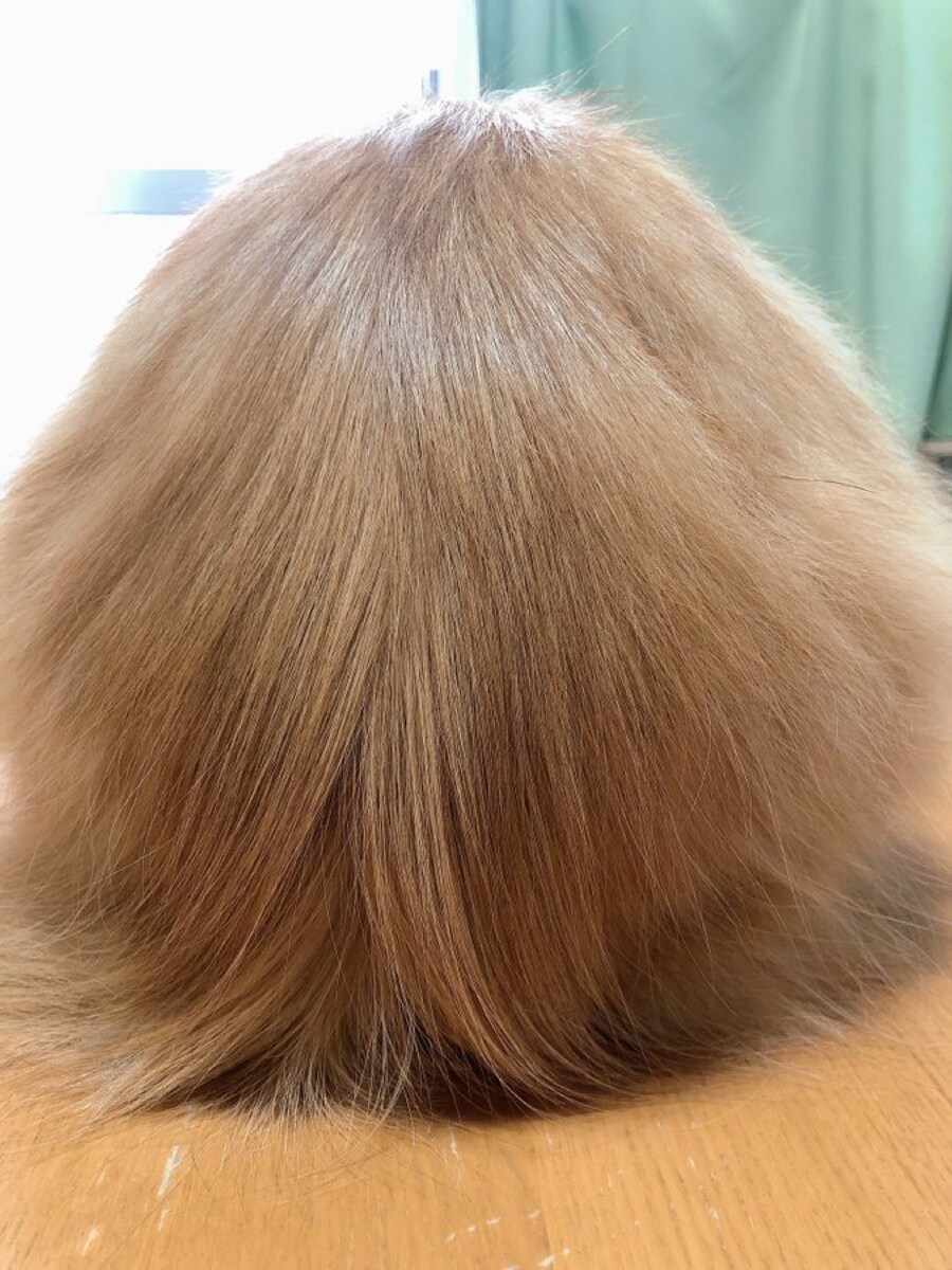 고양이_3.jpg