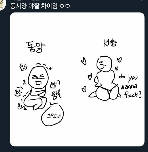 동서양 야짤 차이.jpg_1.jpg