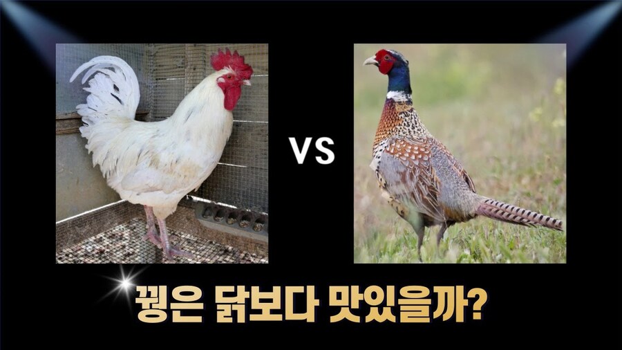 조상님들도 즐겨먹었다는 그 맛이 진짜 궁금한 고기.jpg_8.jpg