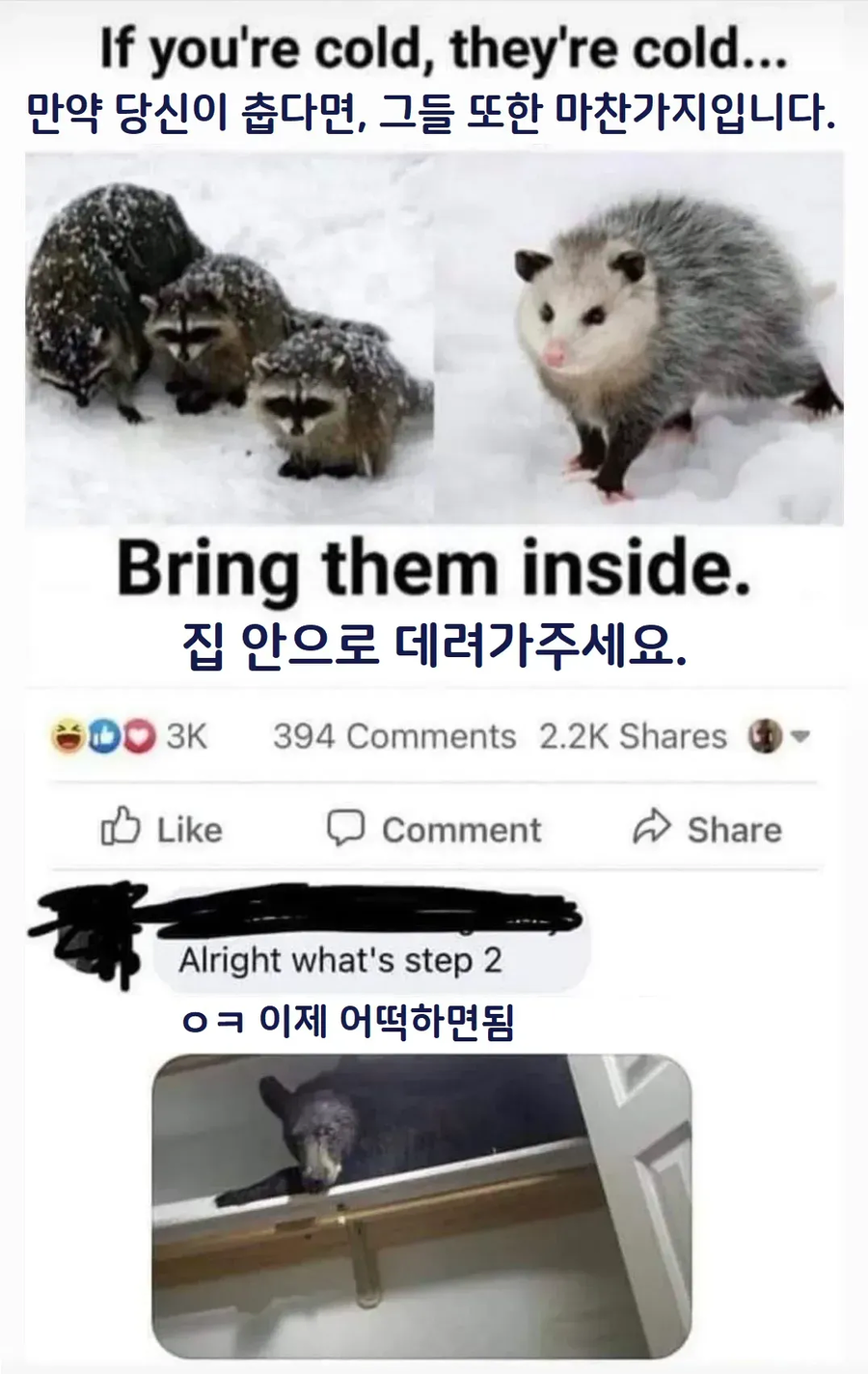 1단계 집으로 들이기_1.webp