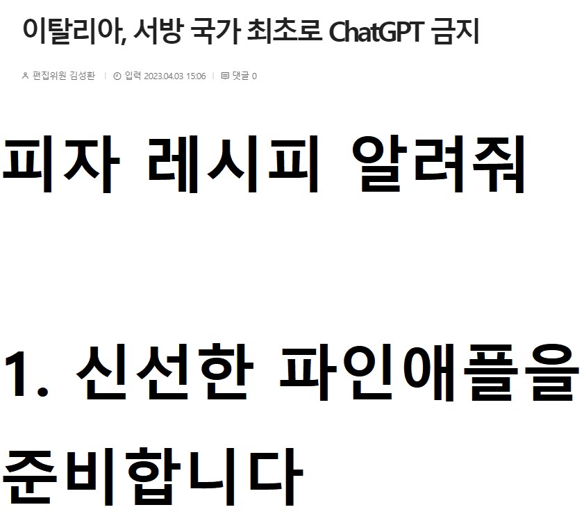 이탈리아에서 ai챗봇(챗GPT)가 금지된 이유.jpg_1.png