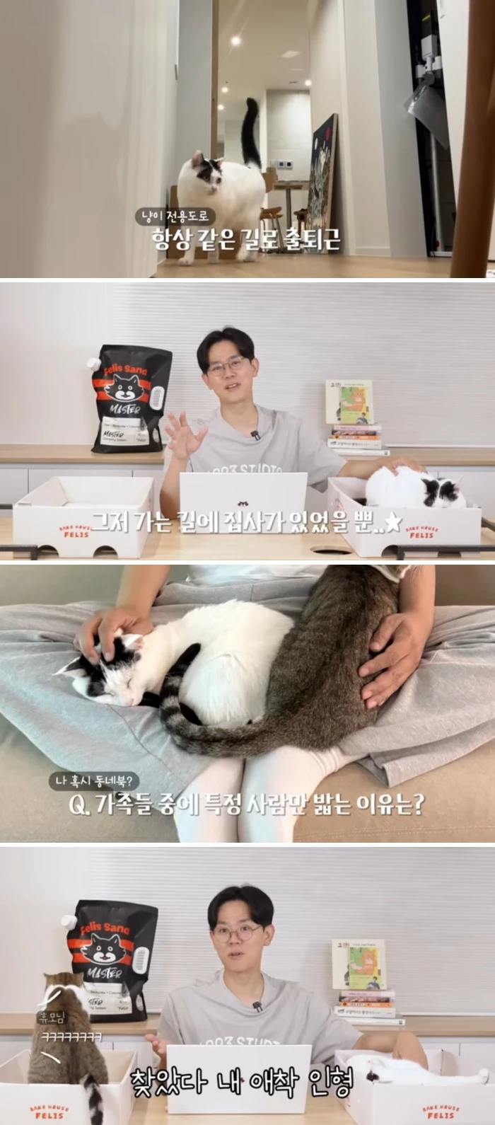 고양이한테 한번이라도 밟혀본 사람이 대단한 이유._2.webp