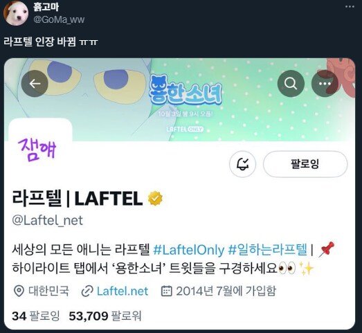 진실을 알고 프로필을 바꾼 라프텔.ott_3.png