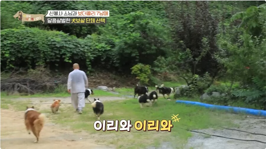 예로 부터 스님들은 드루이드 였다._1.png