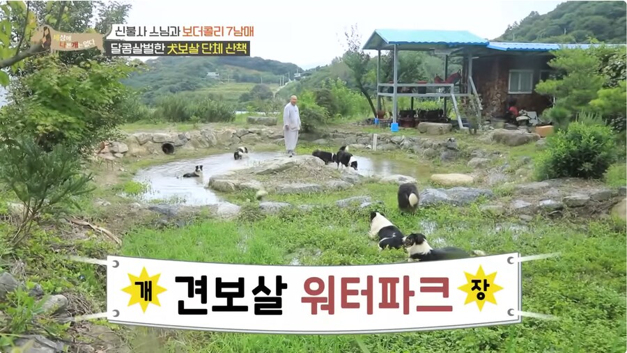 예로 부터 스님들은 드루이드 였다._2.png