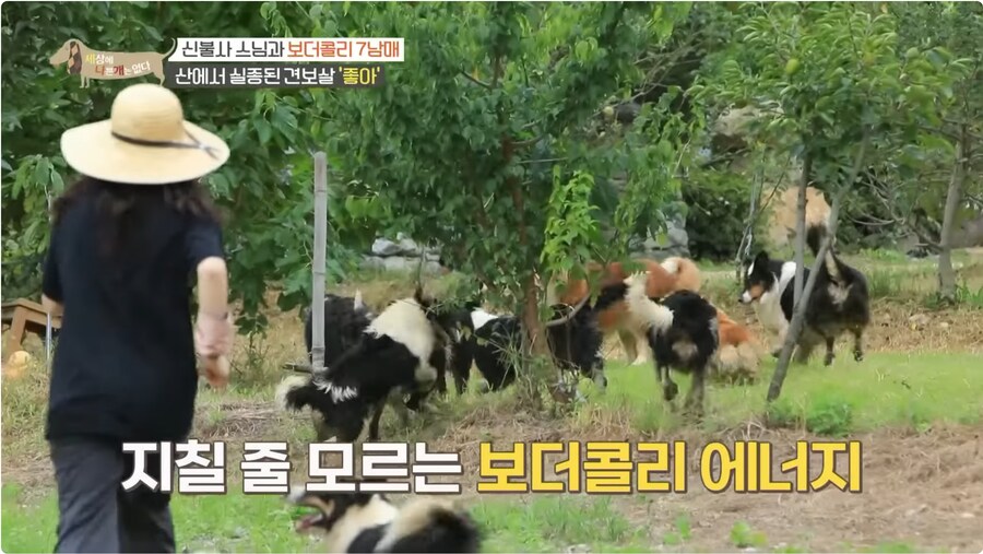 예로 부터 스님들은 드루이드 였다._3.png