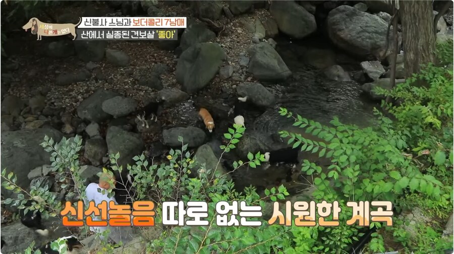 예로 부터 스님들은 드루이드 였다._4.png
