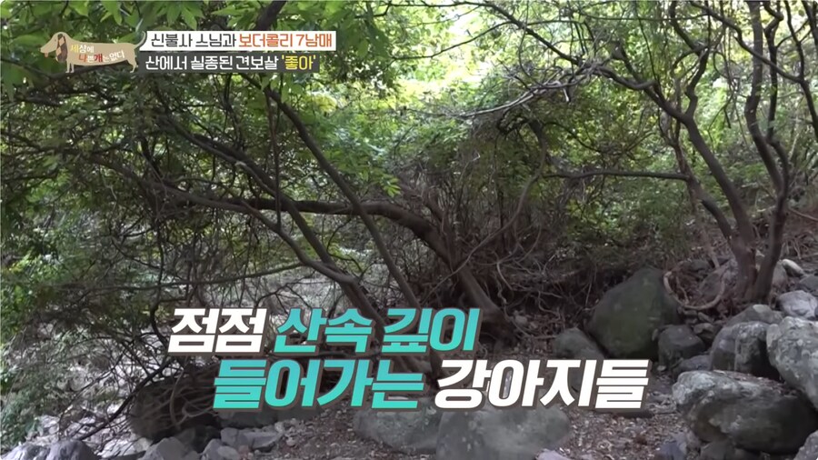 예로 부터 스님들은 드루이드 였다._5.png