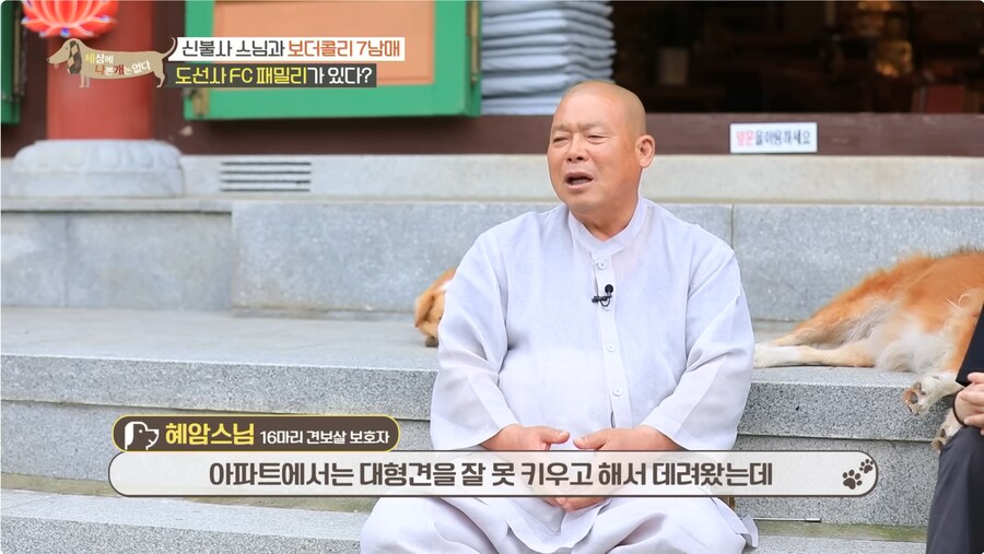 예로 부터 스님들은 드루이드 였다._7.png