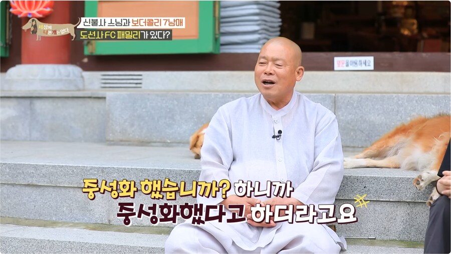 예로 부터 스님들은 드루이드 였다._8.png