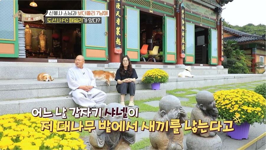 예로 부터 스님들은 드루이드 였다._9.png
