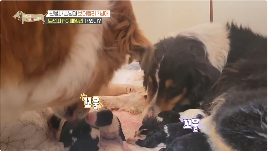 예로 부터 스님들은 드루이드 였다._10.png