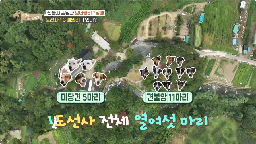 예로 부터 스님들은 드루이드 였다._11.png