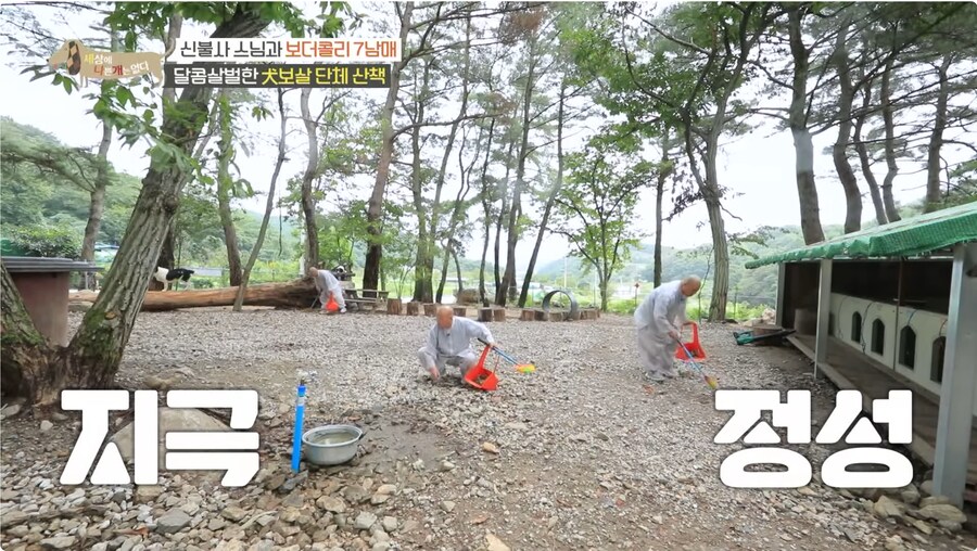 예로 부터 스님들은 드루이드 였다._12.png