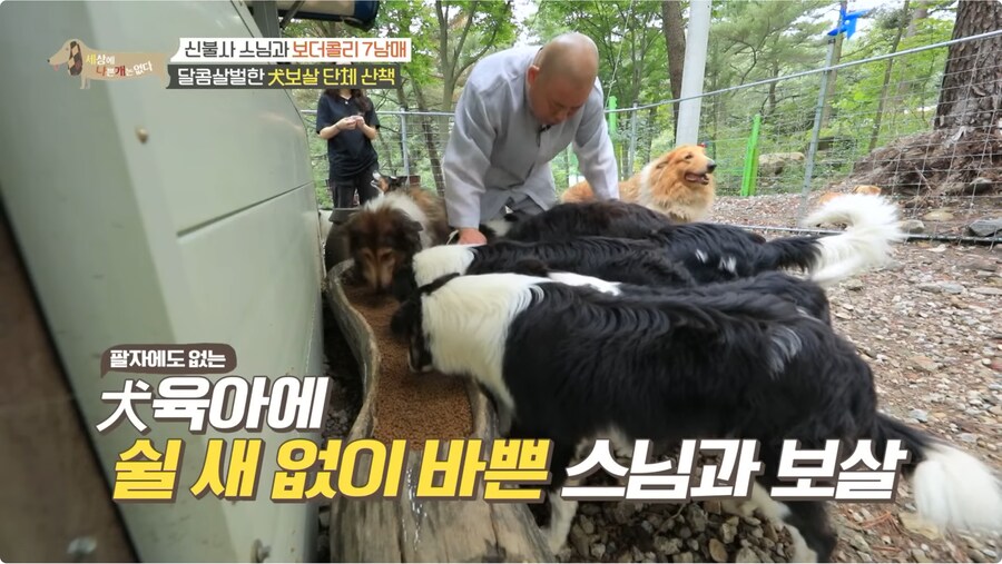 예로 부터 스님들은 드루이드 였다._13.png