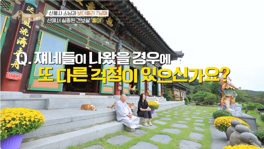 예로 부터 스님들은 드루이드 였다._14.png