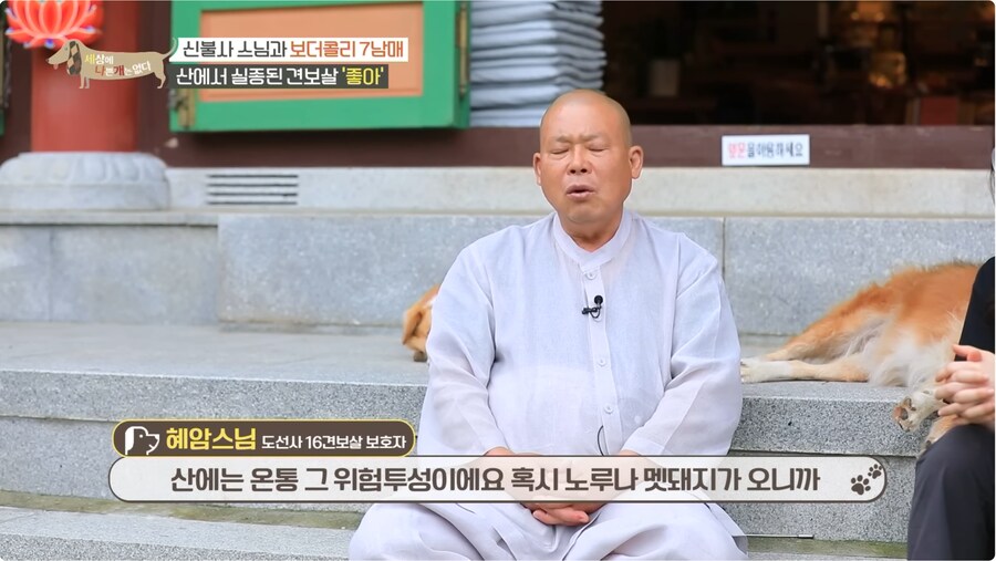 예로 부터 스님들은 드루이드 였다._15.png