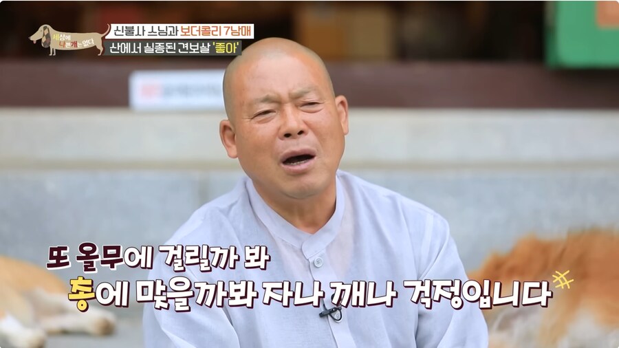 예로 부터 스님들은 드루이드 였다._17.png