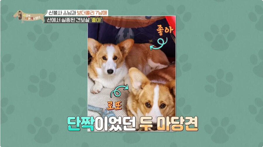 예로 부터 스님들은 드루이드 였다._18.png