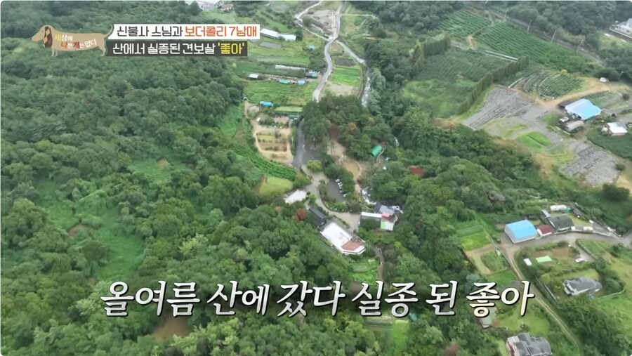 예로 부터 스님들은 드루이드 였다._19.png