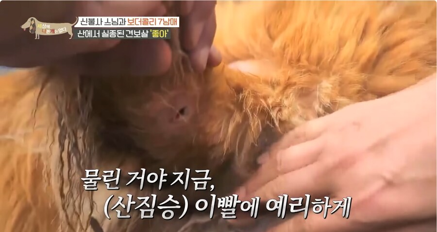 예로 부터 스님들은 드루이드 였다._20.png