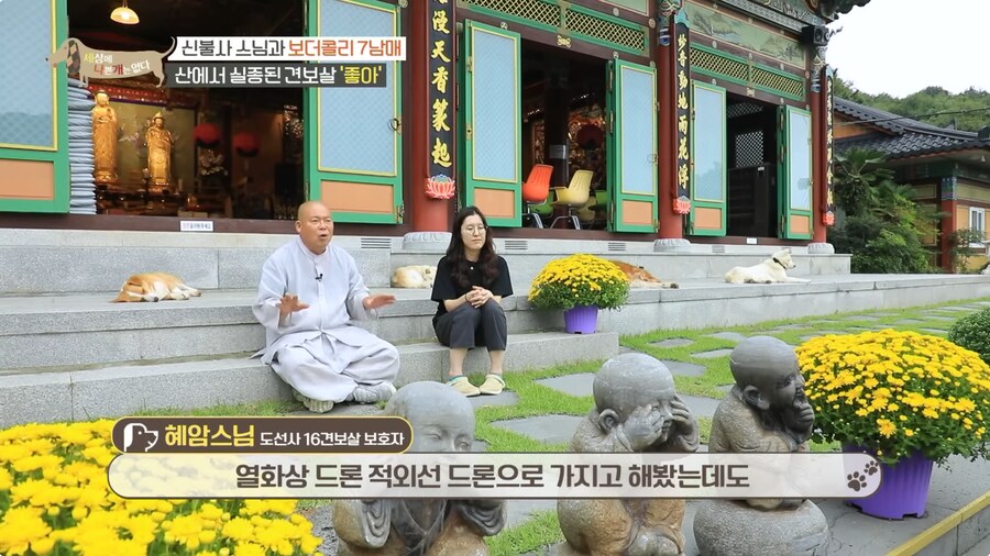 예로 부터 스님들은 드루이드 였다._22.png