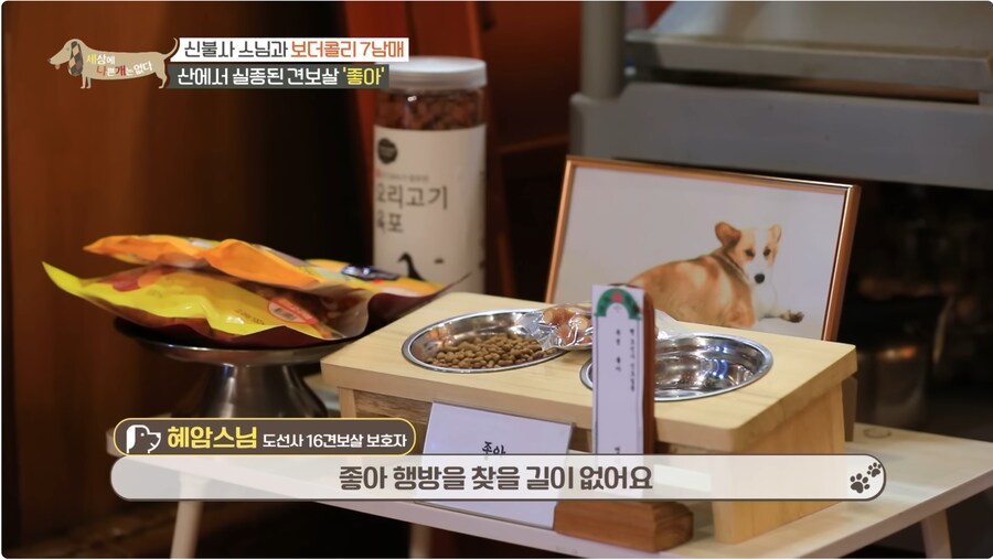 예로 부터 스님들은 드루이드 였다._23.png