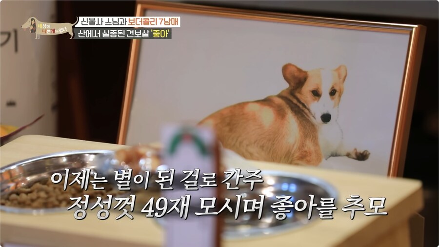 예로 부터 스님들은 드루이드 였다._24.png