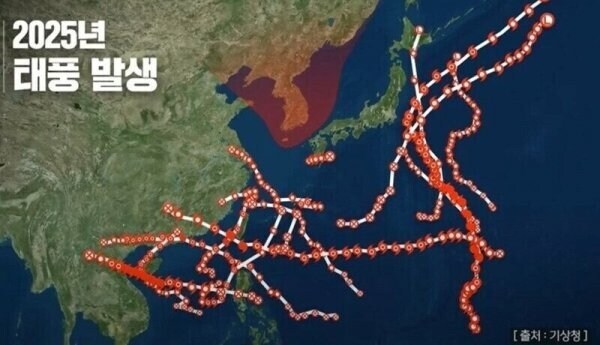 어차피 와야 할 태풍이라면_1.jpg