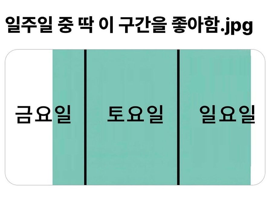 일주일 중 딱 이 구간을 좋아함.jpg_1.jpg