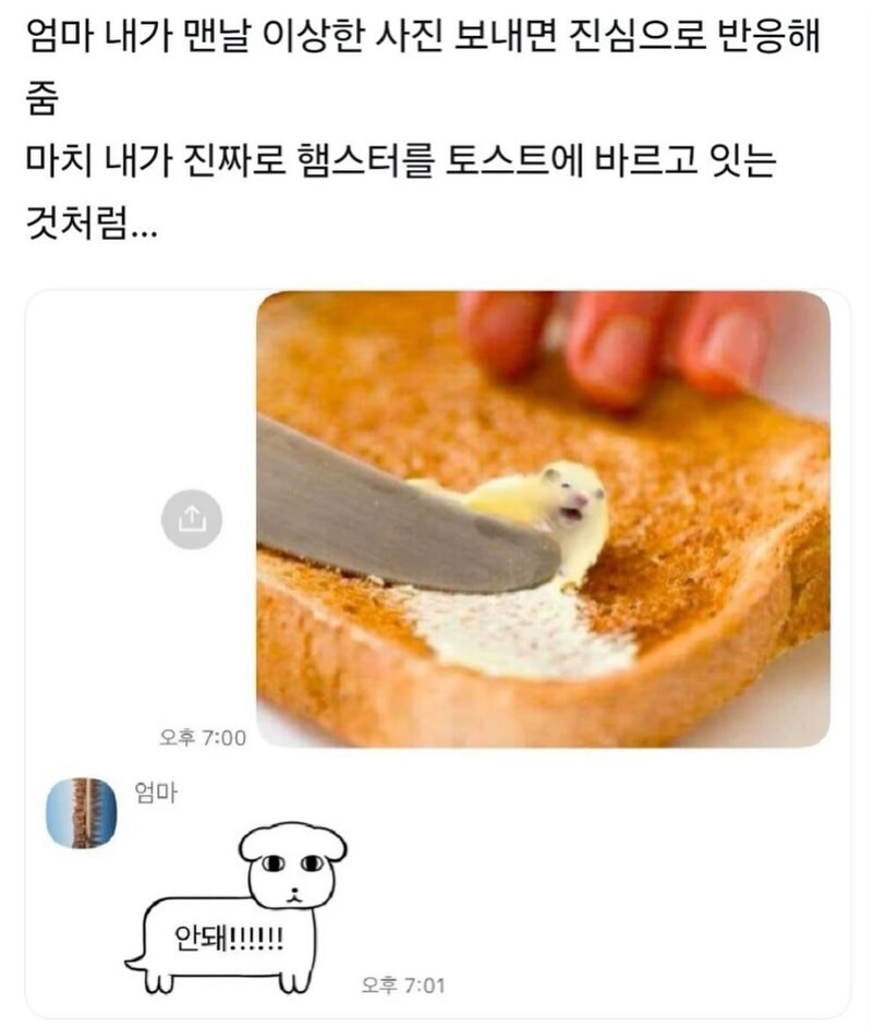 진심으로 반응해주는 엄마.jpg_1.jpg