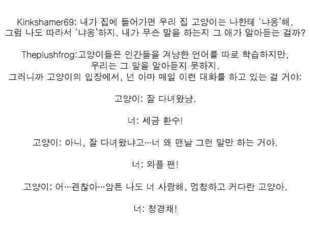 고양이와 개의 차이.jpg_1.jpg