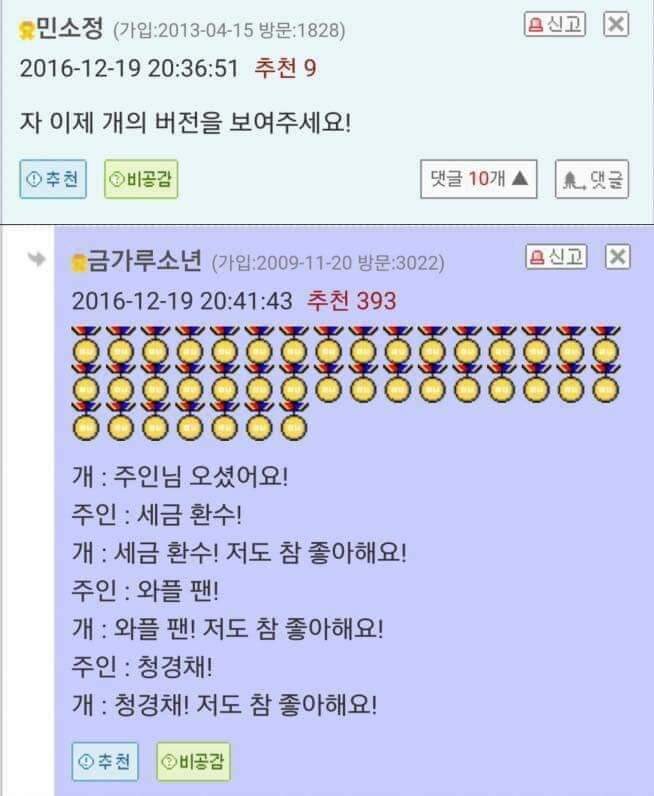 고양이와 개의 차이.jpg_2.jpg