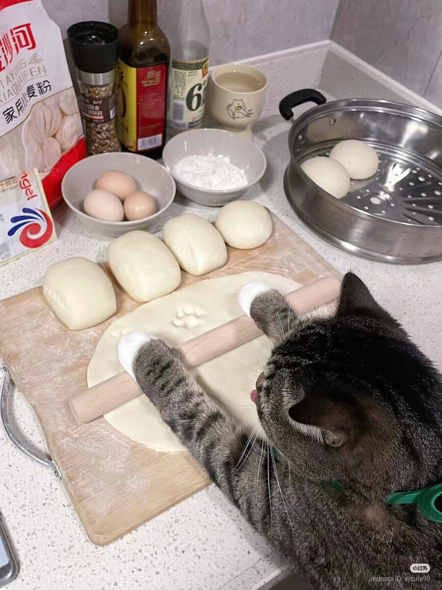 요리하는 고양이_2.jpg