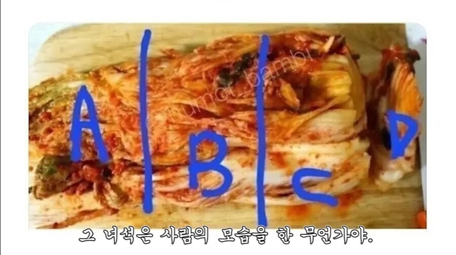 한국인 김취취향._3.jpg