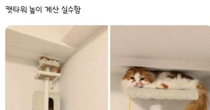 낑기잇.jpg_1.jpg