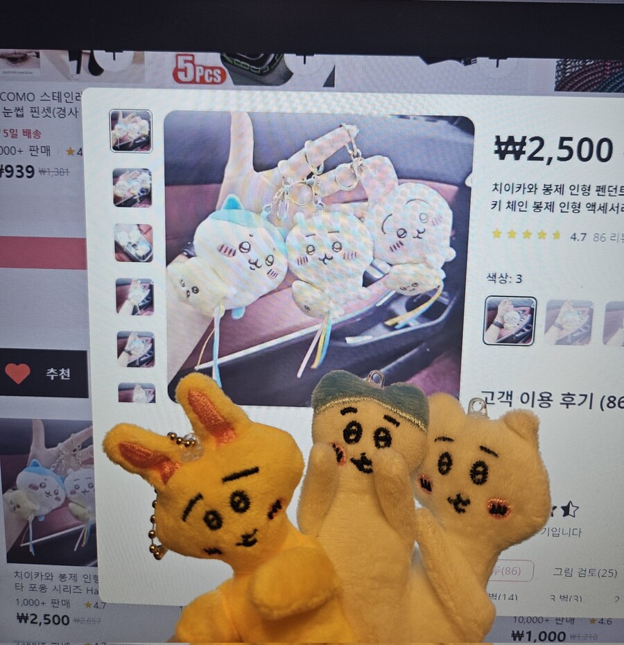 테무산 먼작귀 인형_1.jpg