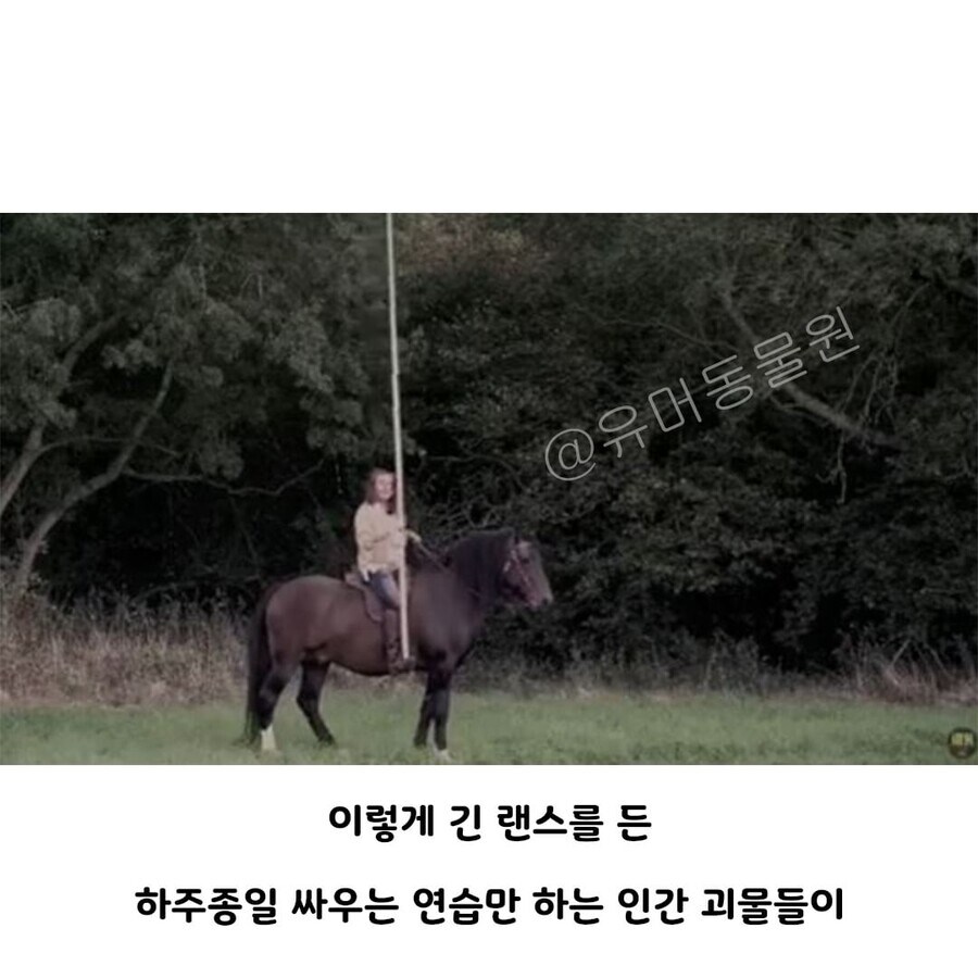 중세시대 기사들이 괴물인 이유_2.jpg