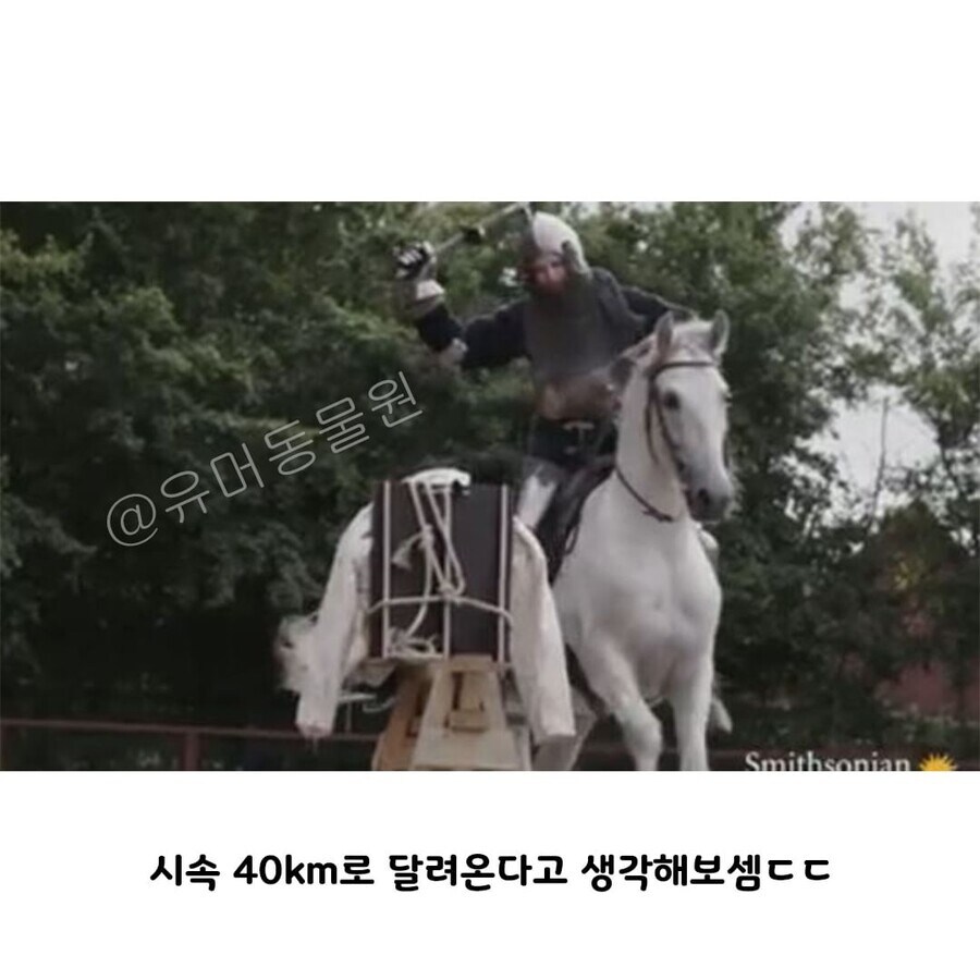 중세시대 기사들이 괴물인 이유_4.jpg