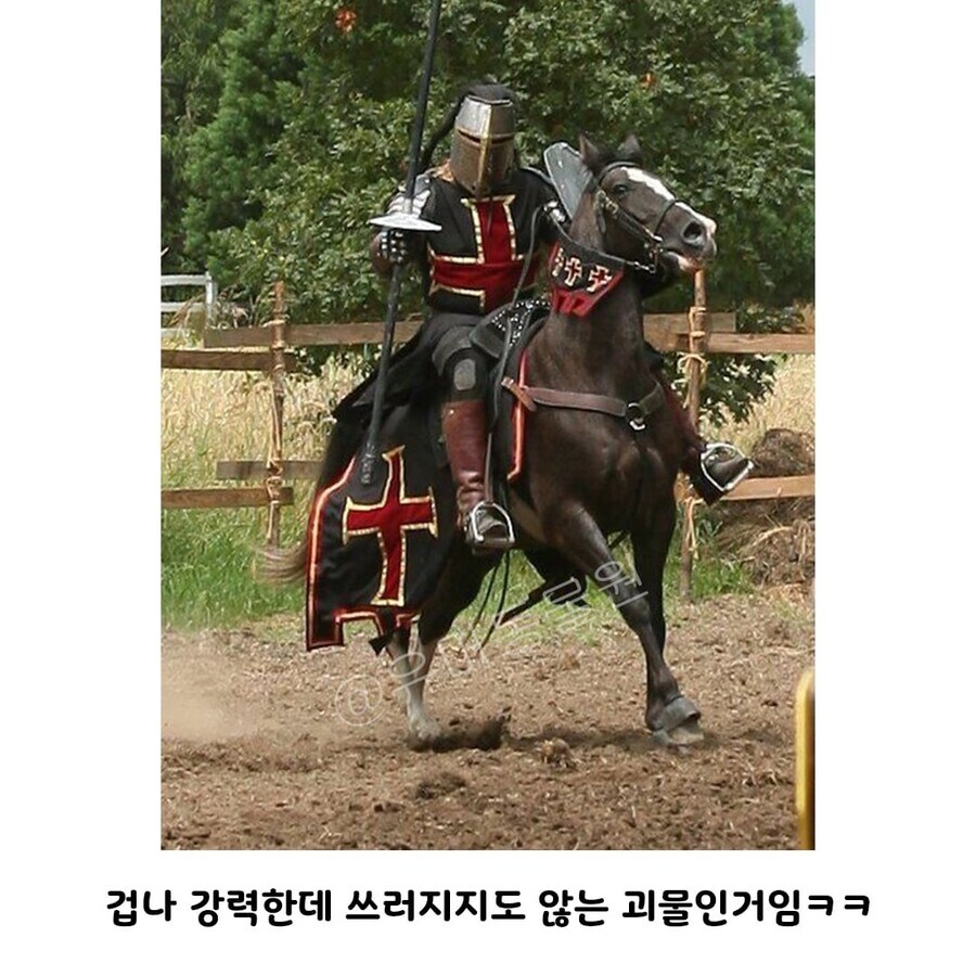 중세시대 기사들이 괴물인 이유_5.jpg