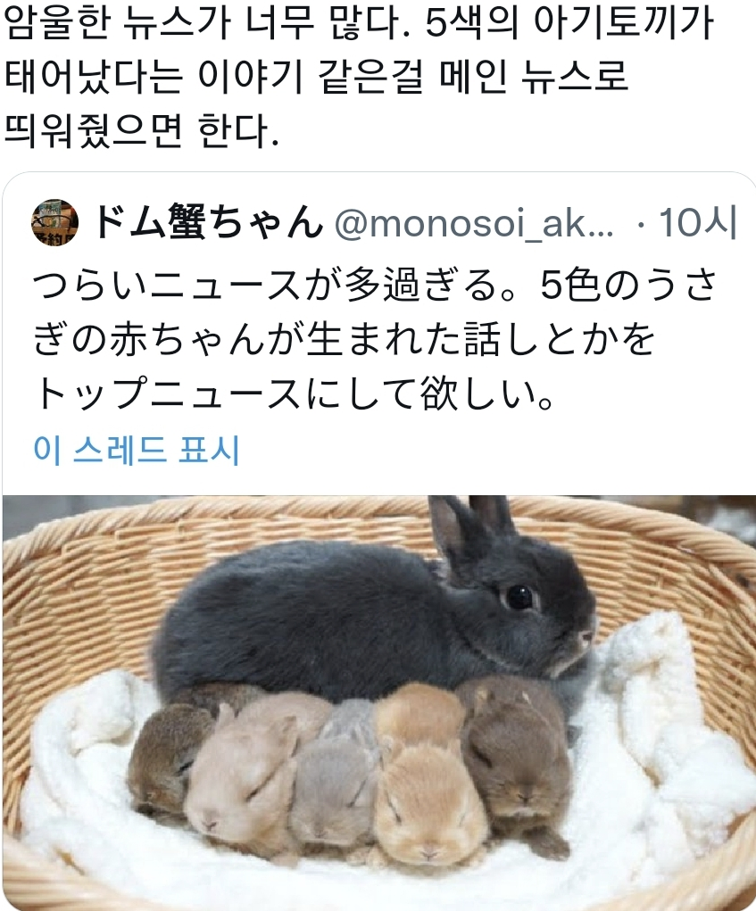 요새 암울한 뉴스가 너무 많다_1.webp