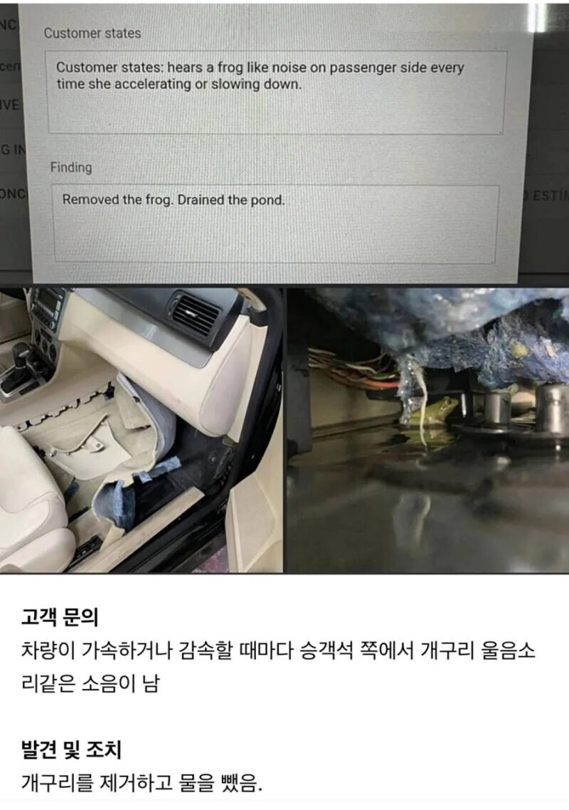 악셀 밟을때 개구리 울음 소리가 들리는 이유_1.jpg