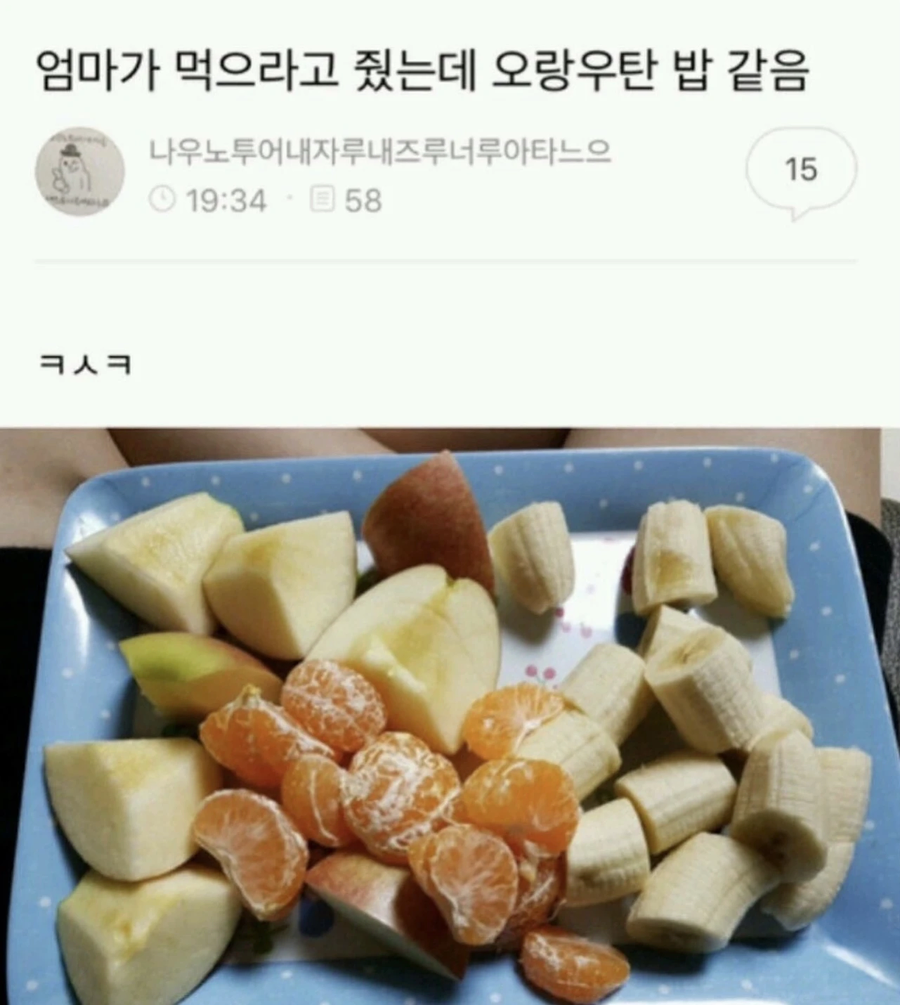 엄마가 먹으라고 줬는데 오랑우탄 밥같음_1.webp