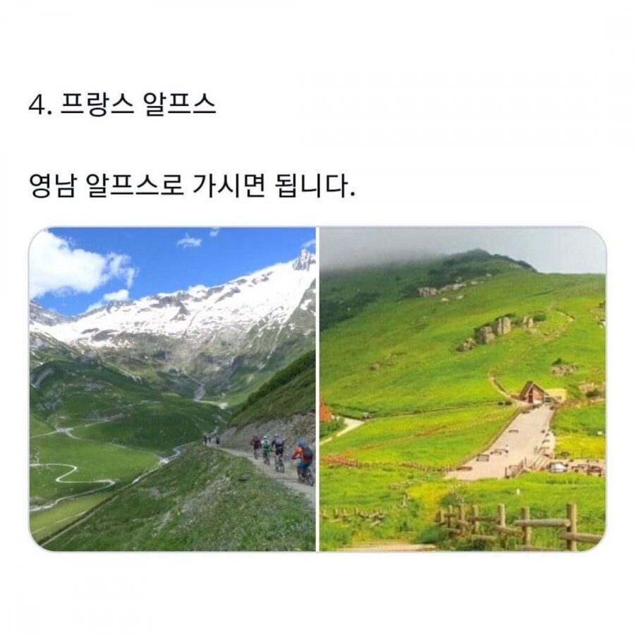 가성비 해외여행 꿀팁.jpg_8.jpg