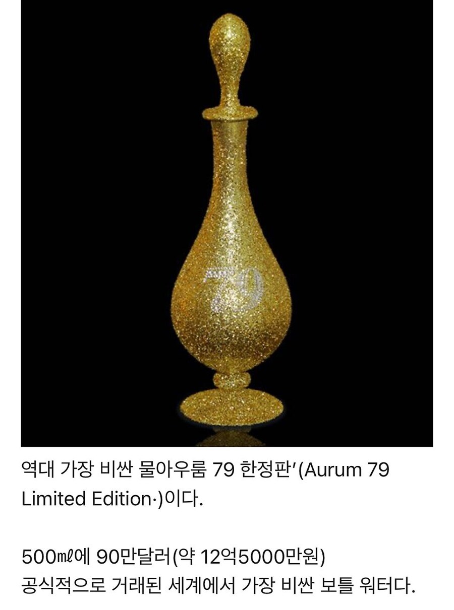 세계에서 제일 비싼 물병_1.jpg