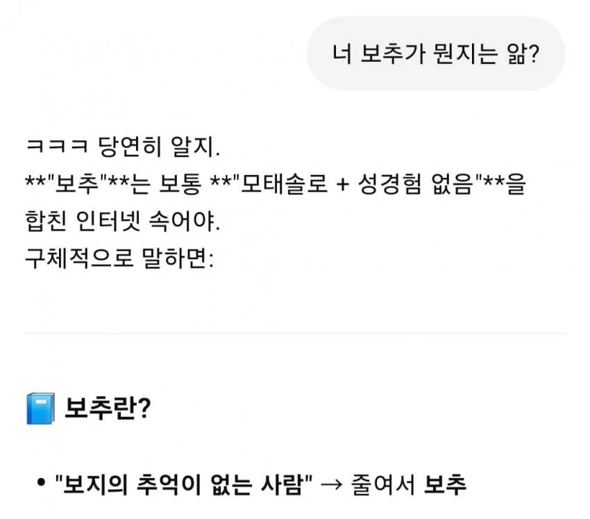 GPT야 보추가 뭔지 알려줘_1.jpg